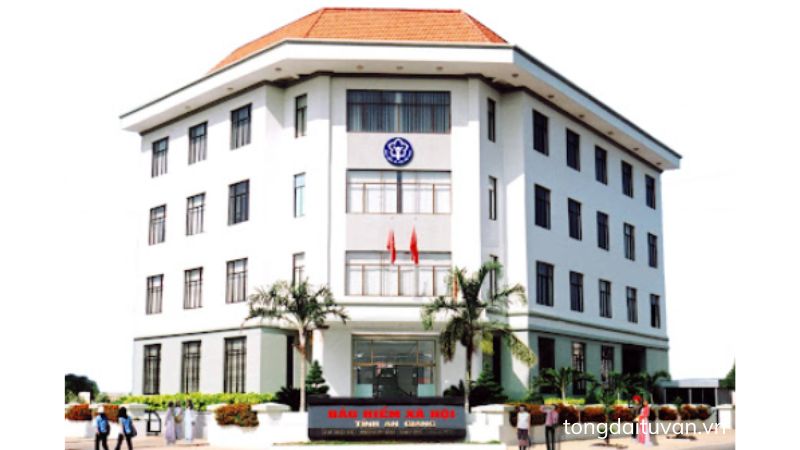 Bảo hiểm xã hội An Giang 2 bao-hiem-xa-hoi-an-giang