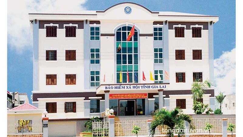 Bảo hiểm xã hội Gia Lai 2 bao-hiem-xa-hoi-gia-lai