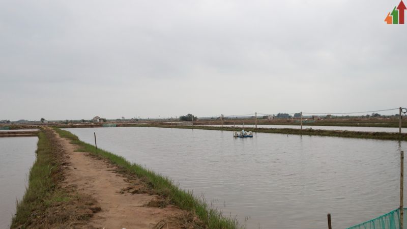 lam-so-do-cho-dat-ao-lan-chiem-co-duoc-khong