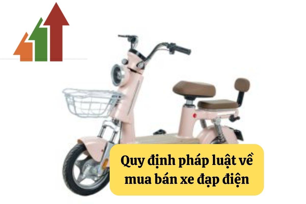 11. mua ban xe dap dien 2