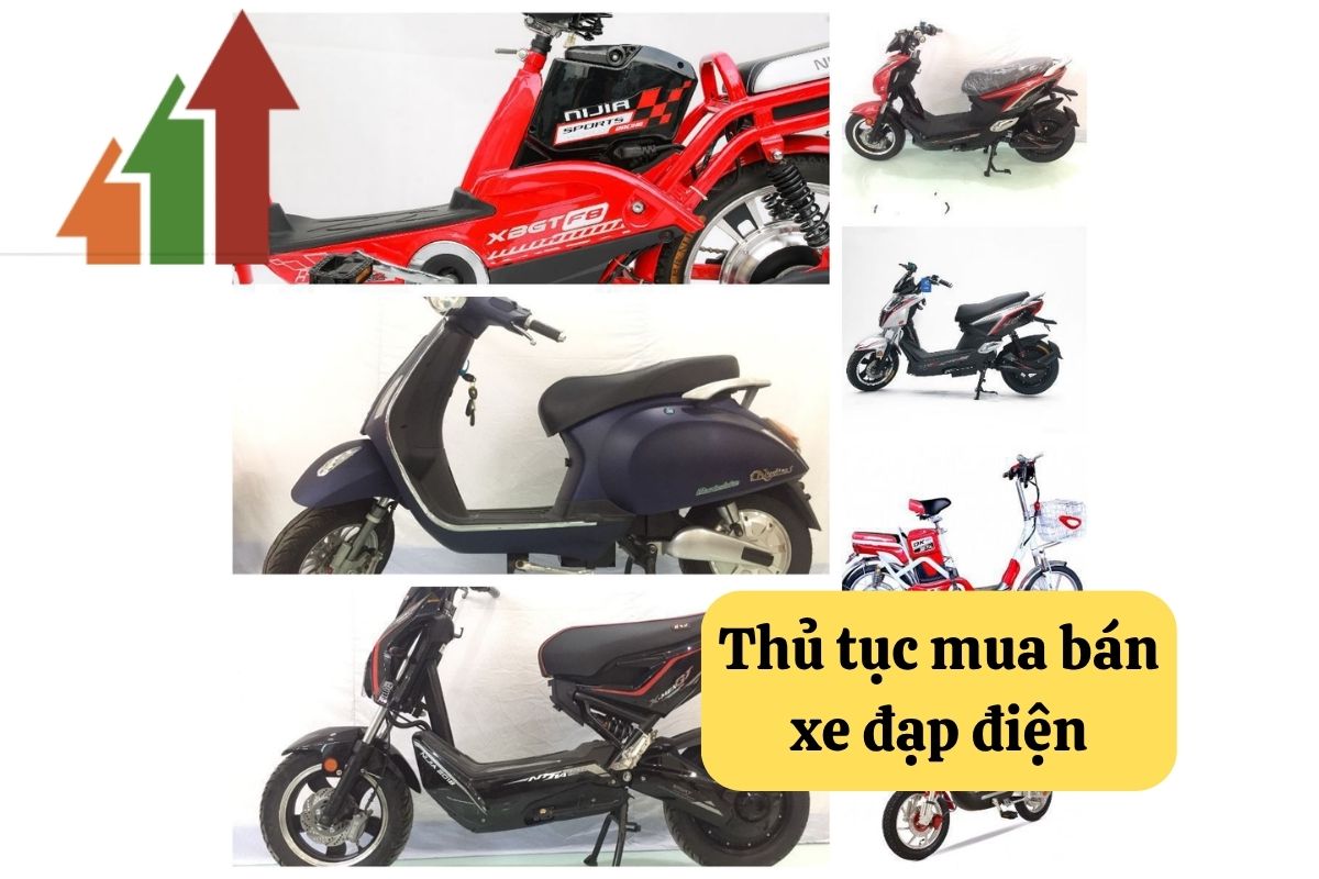 11. mua ban xe dap dien 3