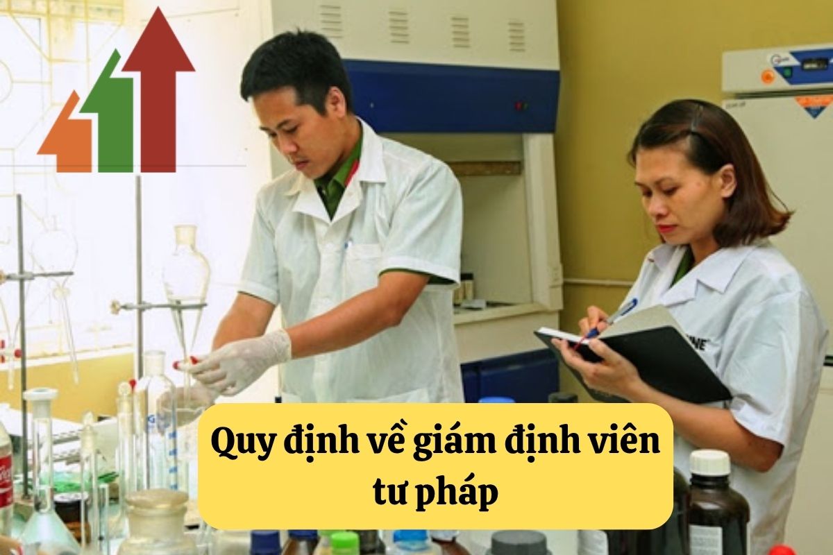 Giám định viên tư pháp: Hướng dẫn chi tiết và tư vấn pháp lý 3 12. giam dinh vien tu phap 2