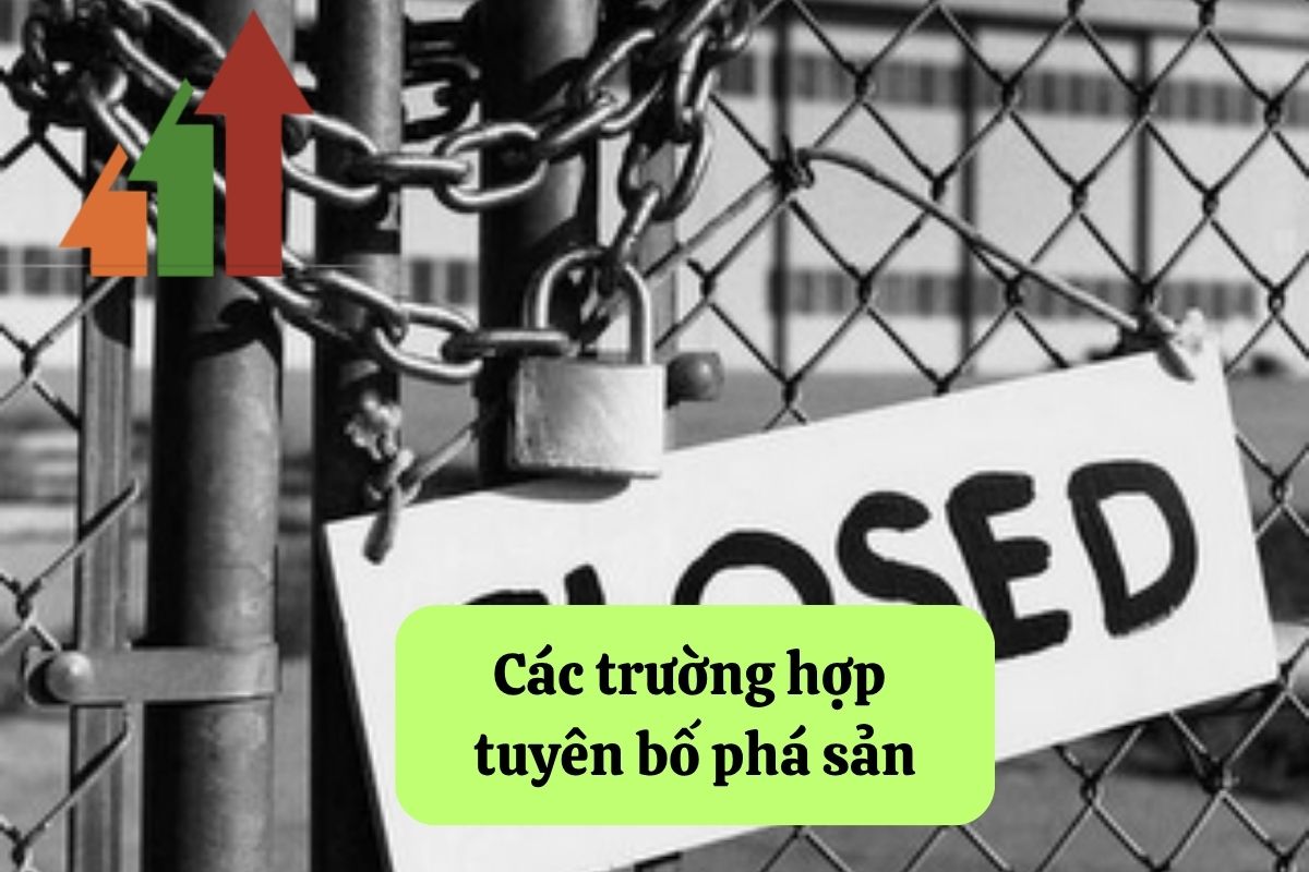 Tuyên bố phá sản: Hướng dẫn chi tiết và đúng pháp luật 3 12. tuyen bo pha san 2