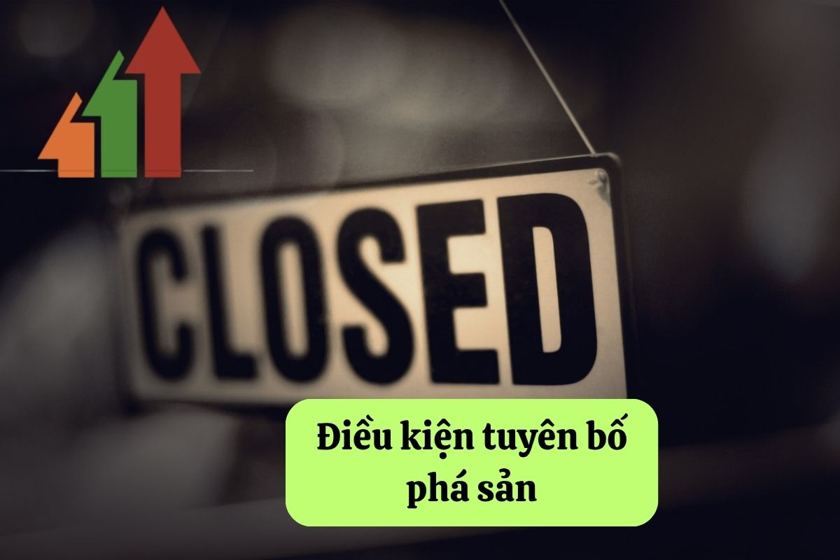 Tuyên bố phá sản: Hướng dẫn chi tiết và đúng pháp luật 4 12. tuyen bo pha san 3
