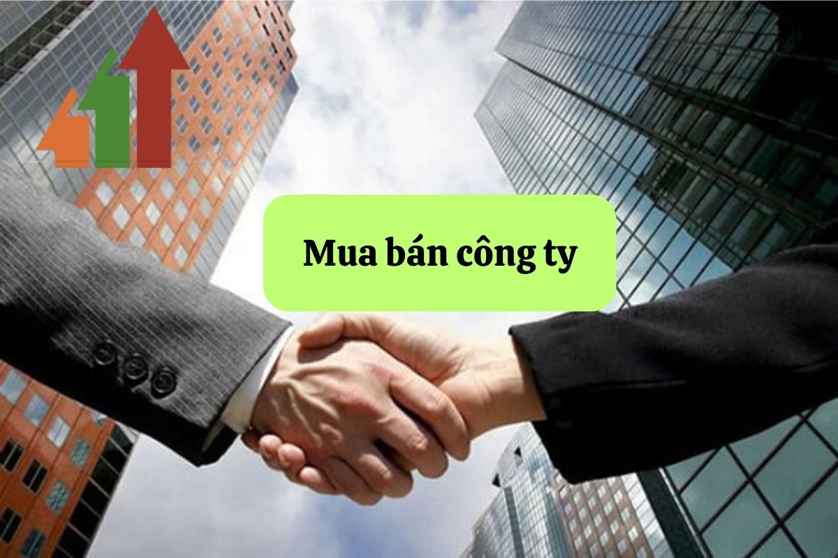 13. mua ban cong ty