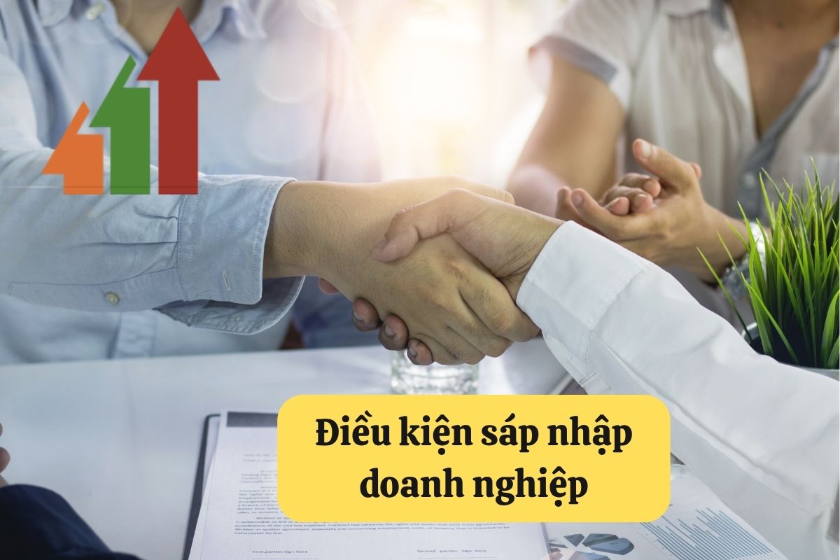 15. sap nhap doanh nghiep 3