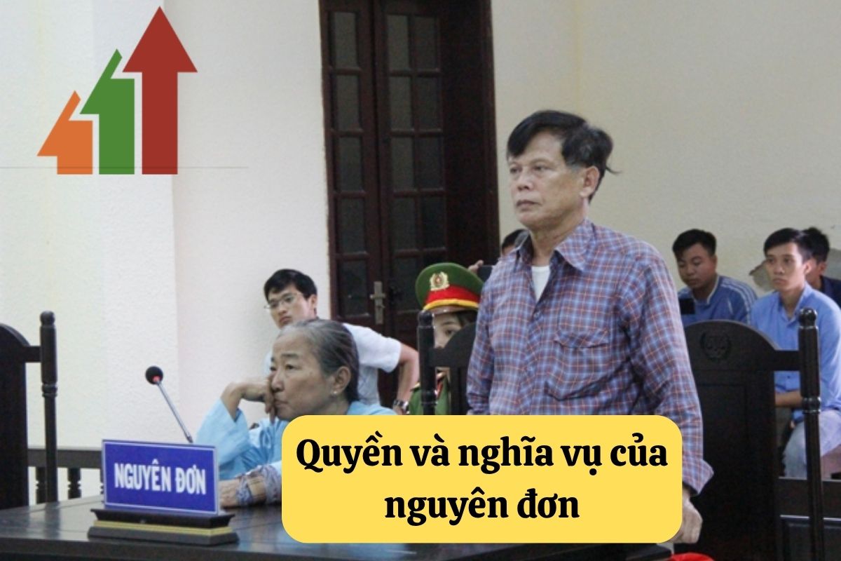 Nguyên đơn: Quy định pháp luật và tư vấn pháp lý 3 16. nguyen don 2