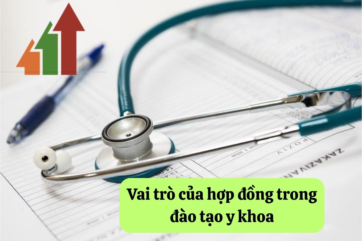 17. dao tao y khoa 3