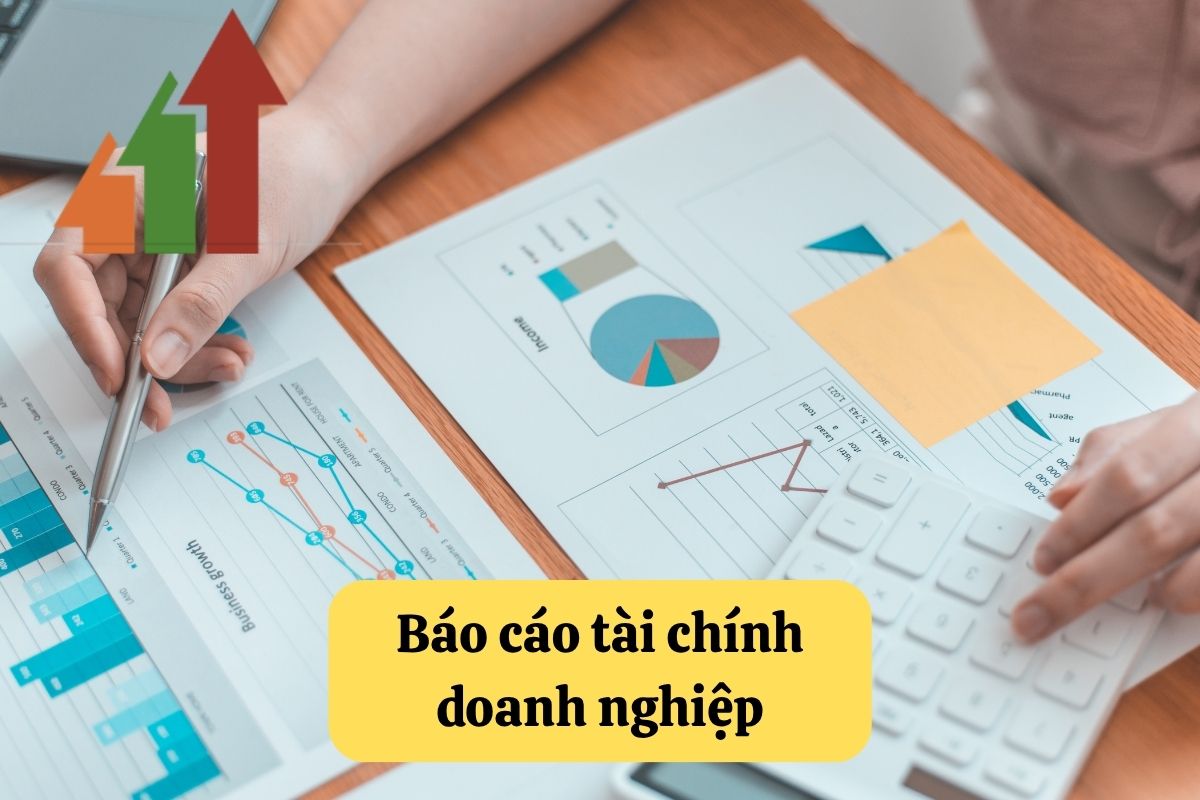 19. bao cao tai chinh doanh nghiep
