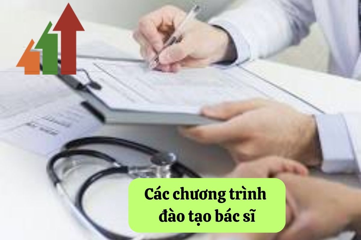 19. dao tao bac si 2