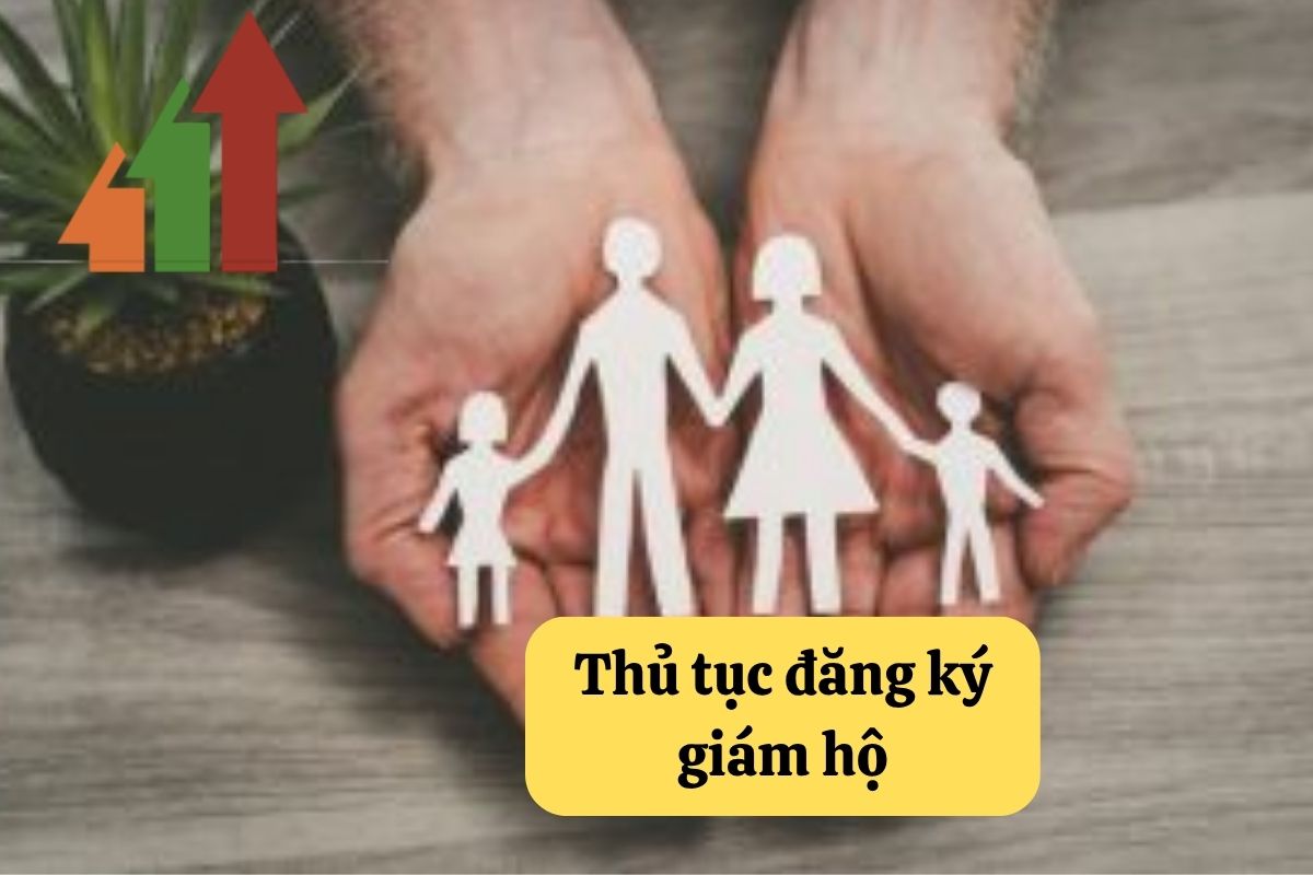 19. thu tuc giam ho 2