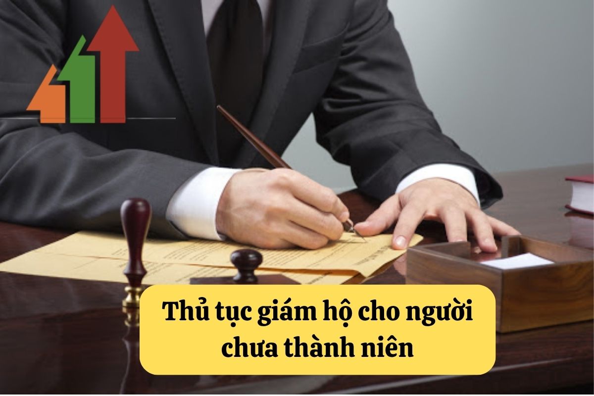 19. thu tuc giam ho 3