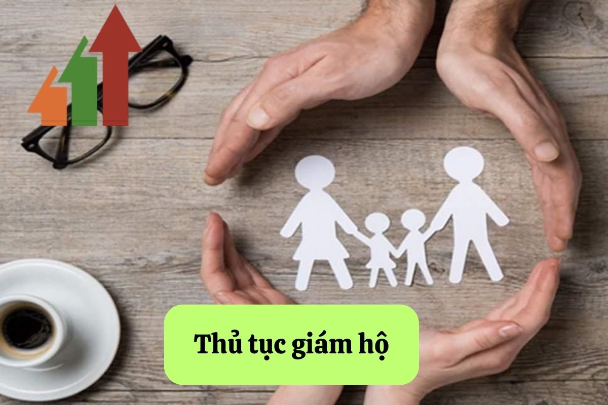 19. thu tuc giam ho