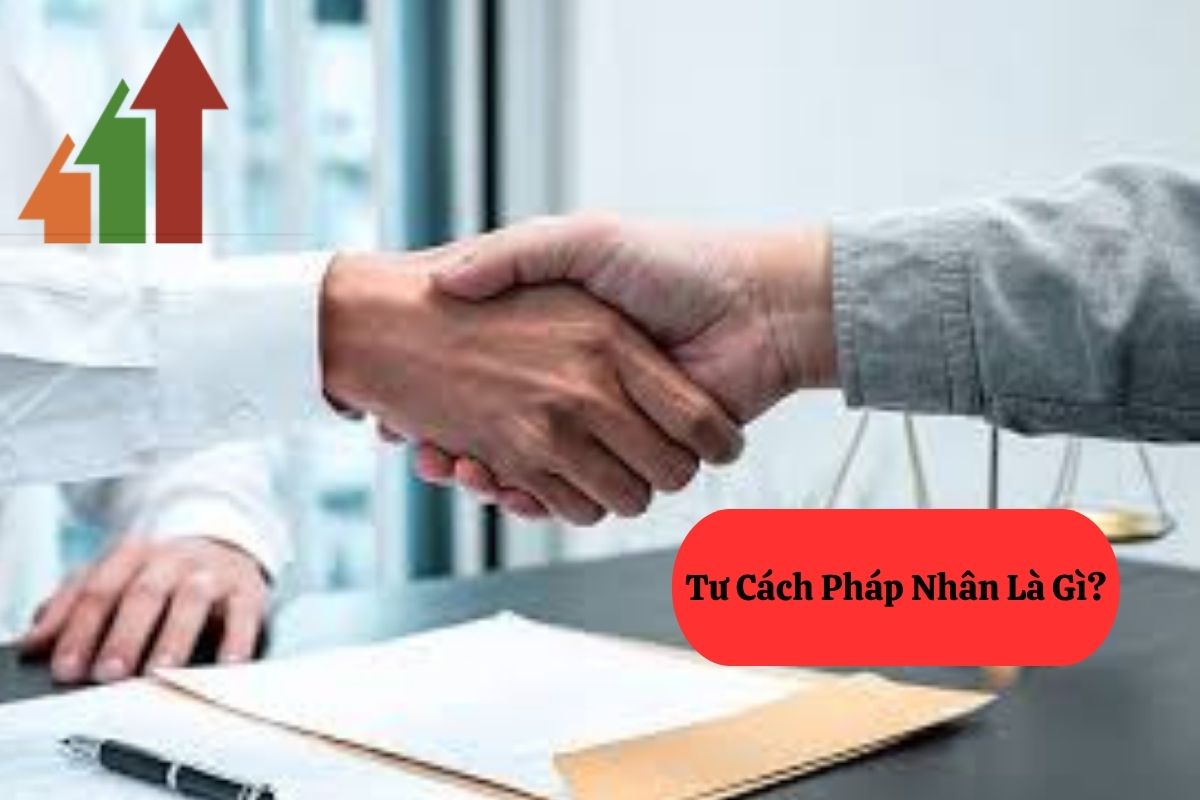 Tư Cách Pháp Nhân: Khái Niệm, Điều Kiện Và Các Loại Chủ Thể 2 190.2