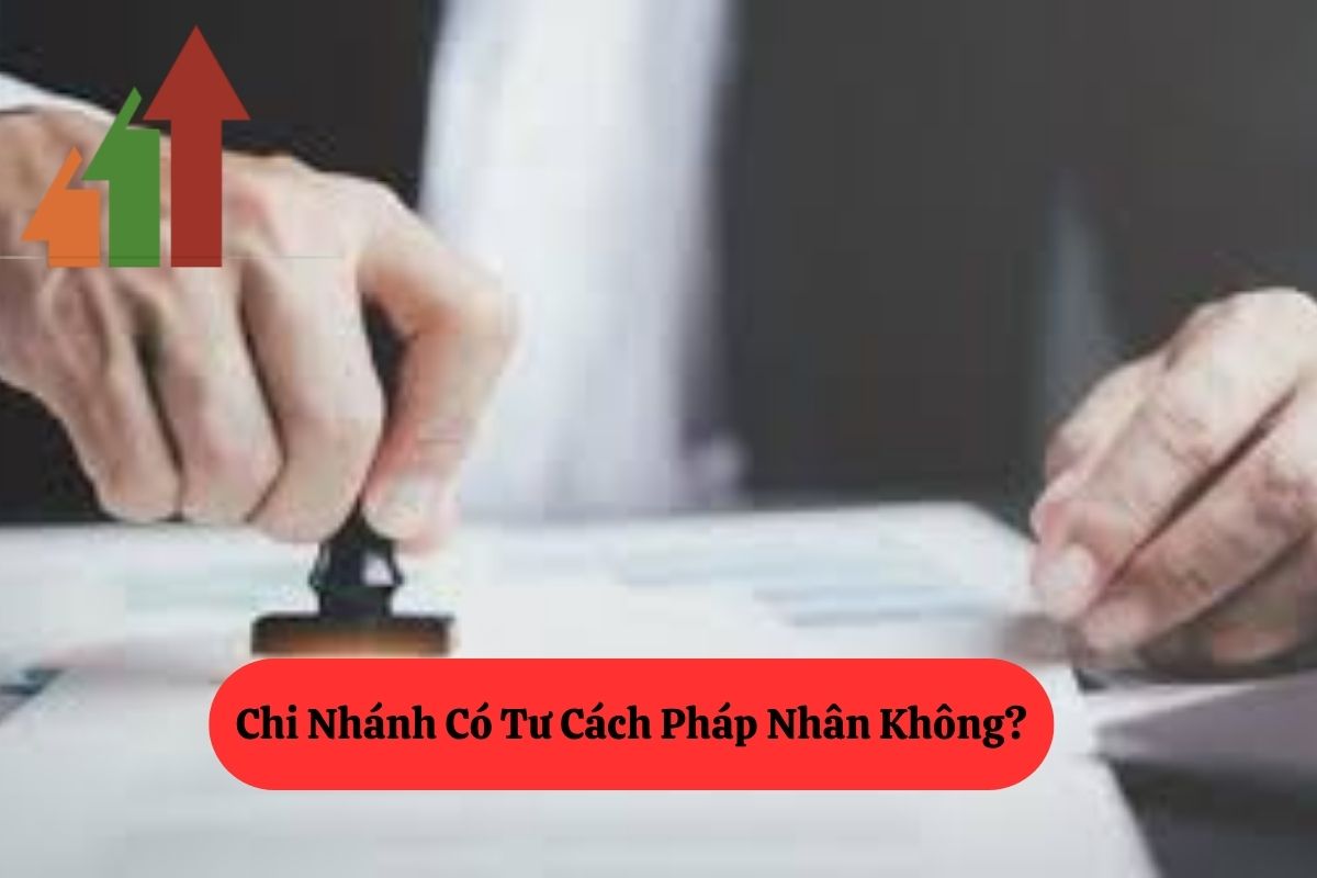 Tư Cách Pháp Nhân: Khái Niệm, Điều Kiện Và Các Loại Chủ Thể 3 190.3
