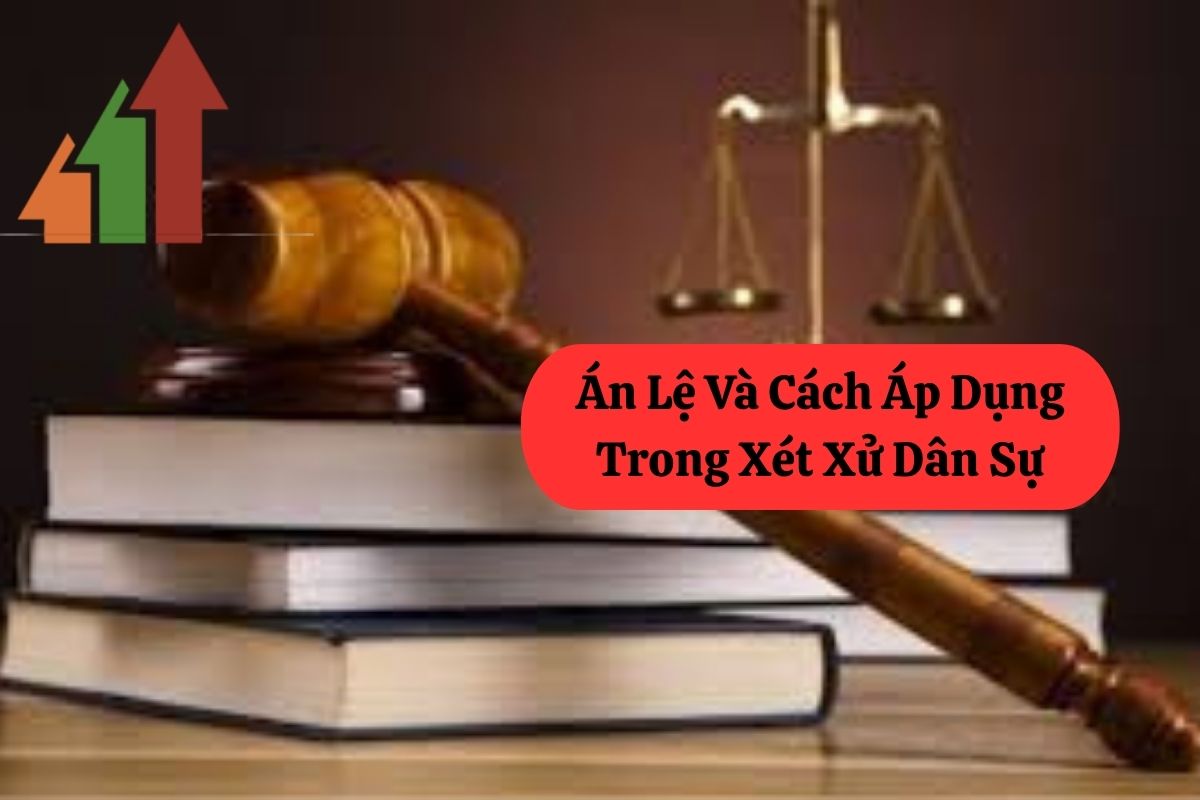 Án Lệ Và Cách Áp Dụng Trong Xét Xử Dân Sự 1 193.1