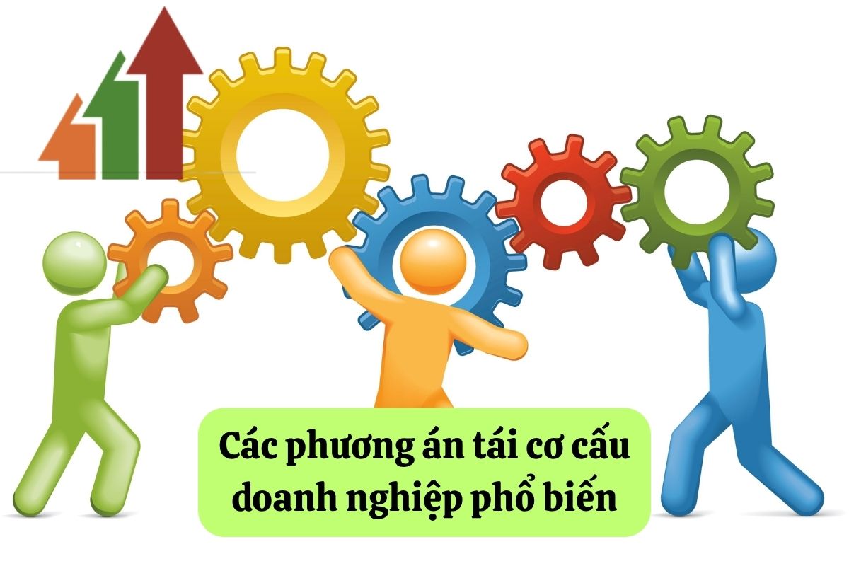 20. tai co cau doanh nghiep 2