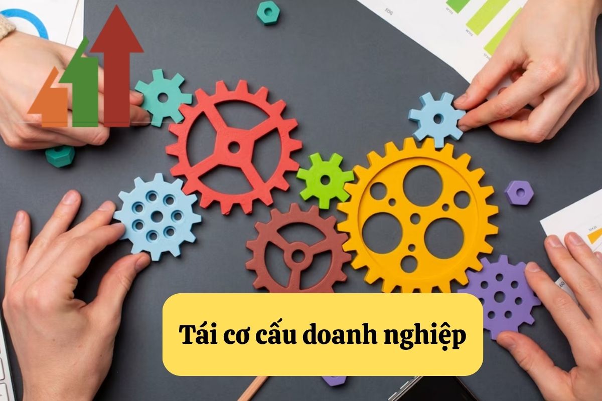 20. tai co cau doanh nghiep
