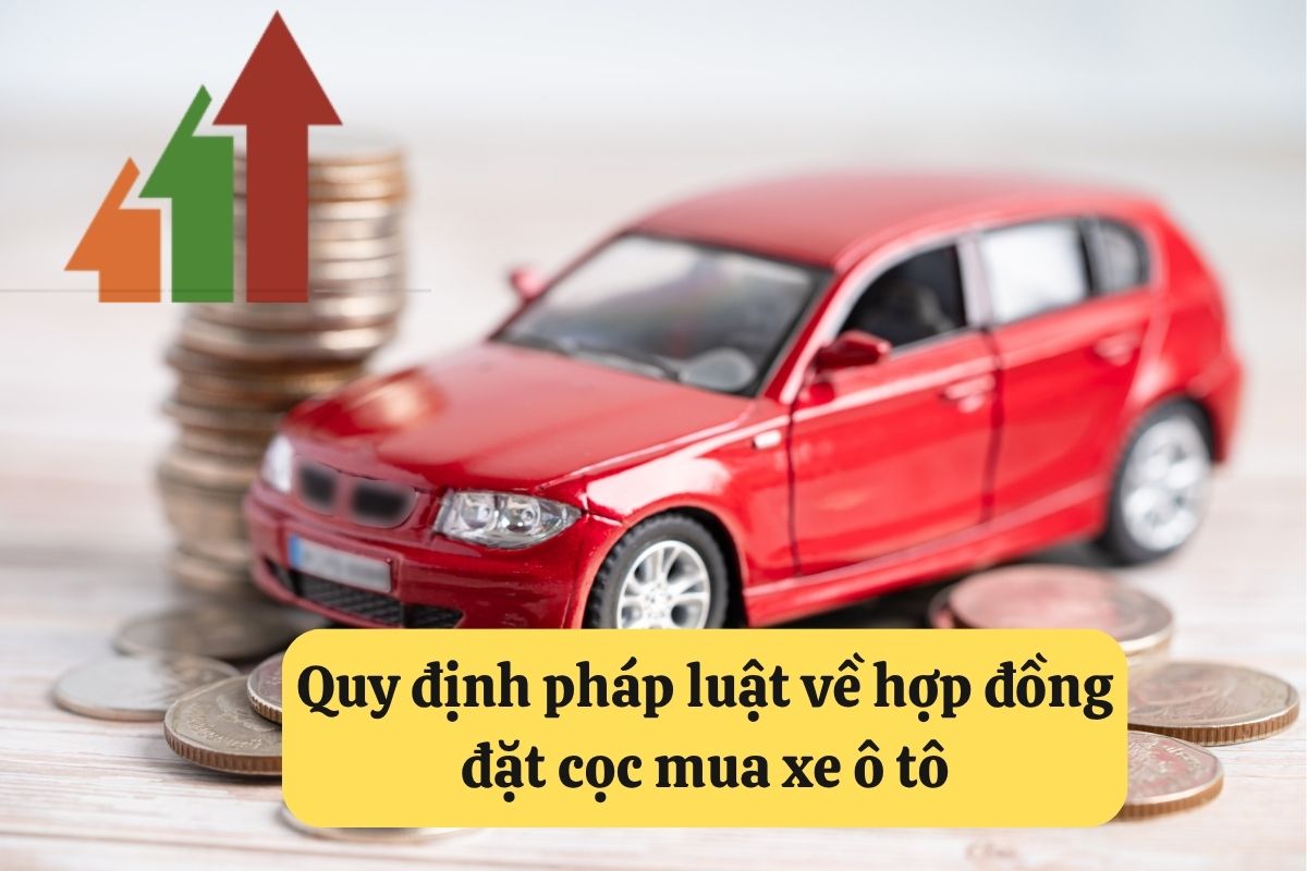 8. dat coc mua xe o to 2