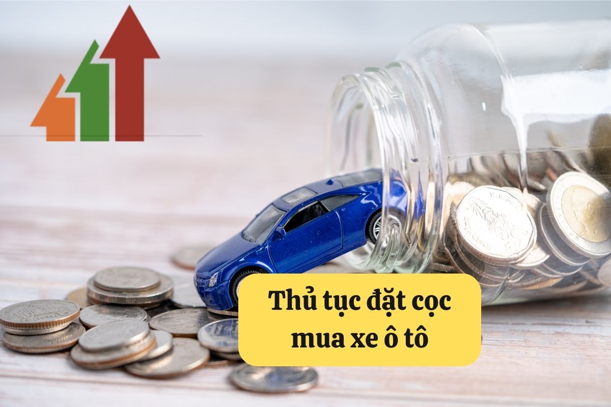 8. dat coc mua xe o to 3