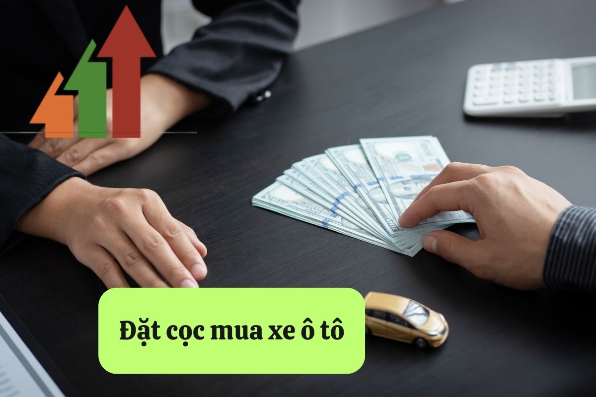 8. dat coc mua xe o to