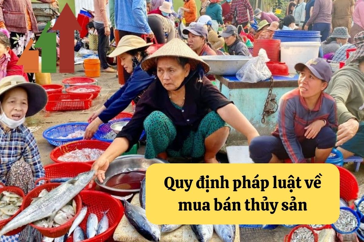 Mua Bán Thủy Sản: Quy Định Pháp Luật và Hướng Dẫn Soạn Hợp Đồng 3 8. mua ban thuy san 2