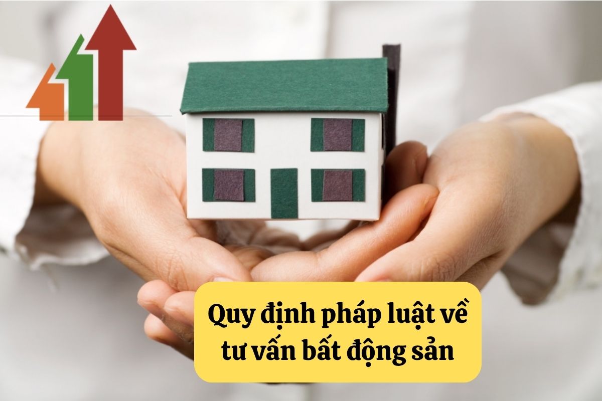 9. tu van bat dong san 2