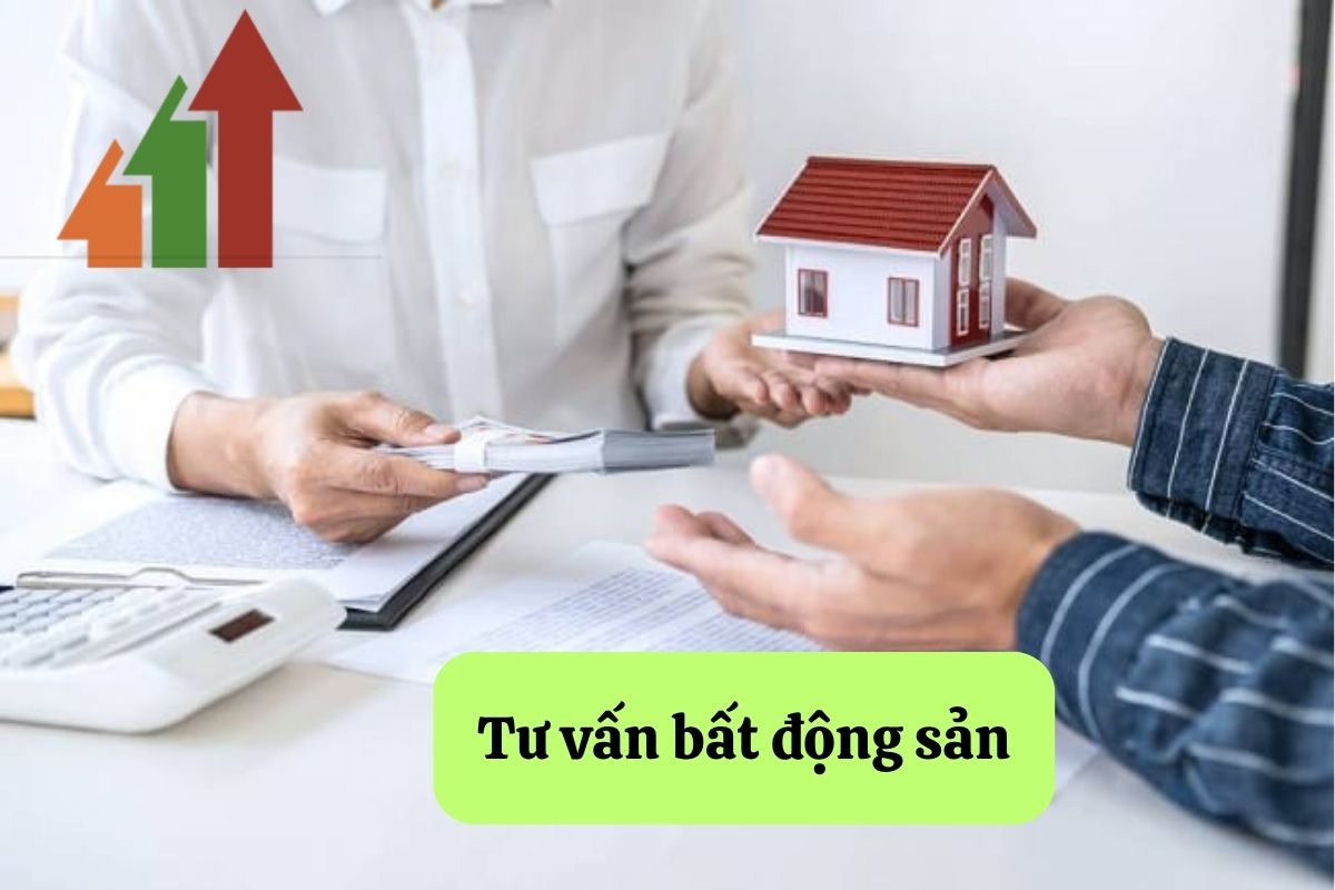 9. tu van bat dong san